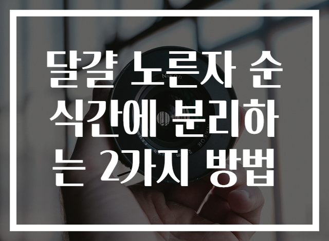 달걀 노른자 순식간에 분리하는 2가지 방법