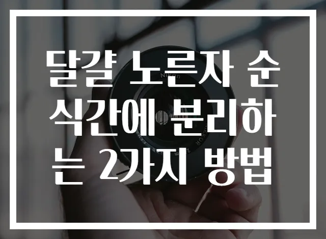 달걀 노른자 순식간에 분리하는 2가지 방법