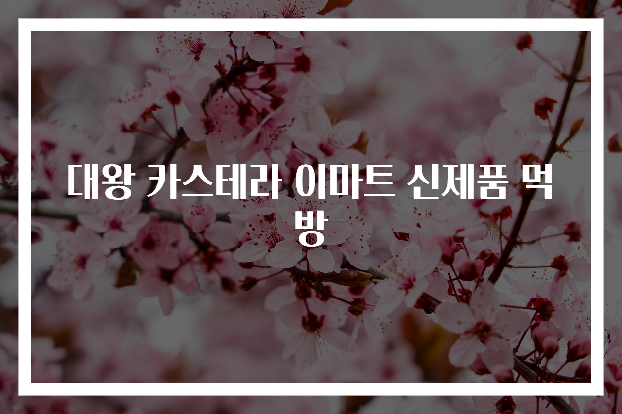 대왕 카스테라 이마트 신제품 먹방