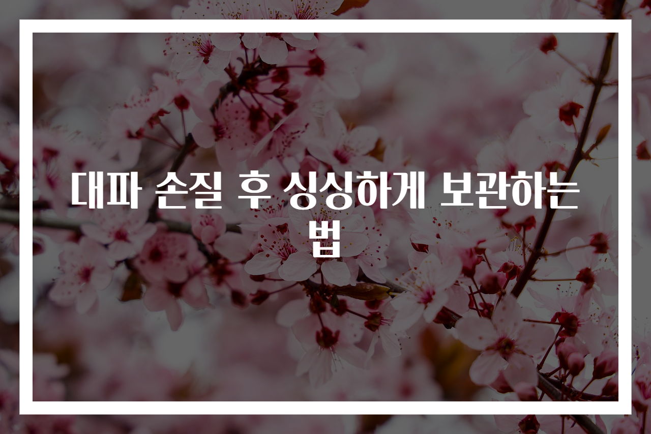 대파 손질 후 싱싱하게 보관하는 법