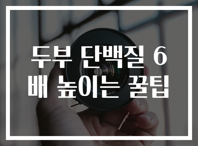두부 단백질 6배 높이는 꿀팁