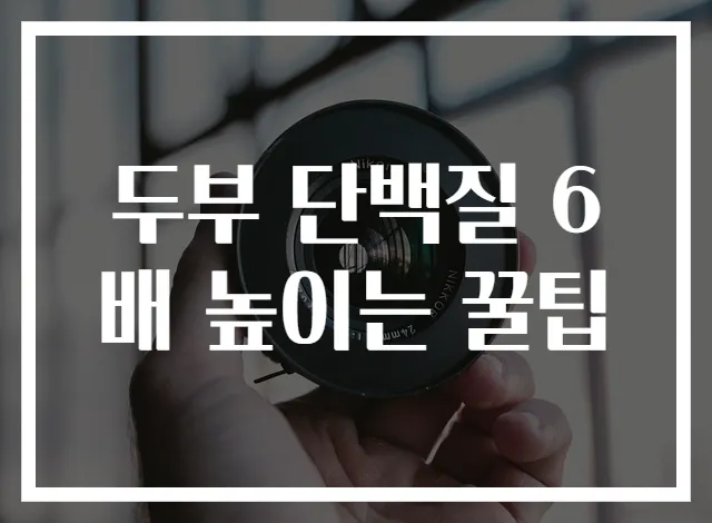 두부 단백질 6배 높이는 꿀팁