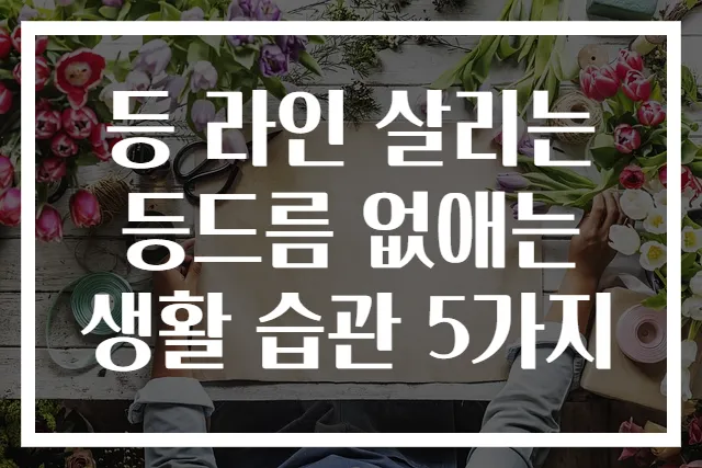등 라인 살리는 등드름 없애는 생활 습관 5가지