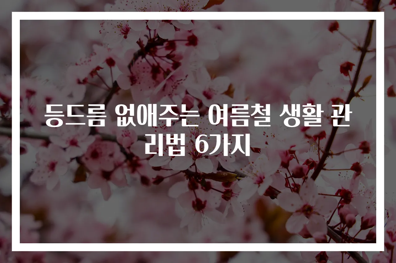 등드름 없애주는 여름철 생활 관리법 6가지