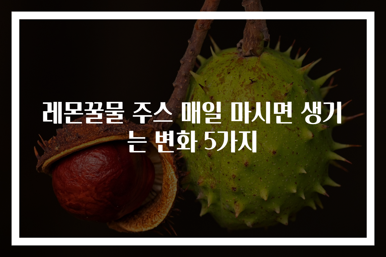 레몬꿀물 주스 매일 마시면 생기는 변화 5가지