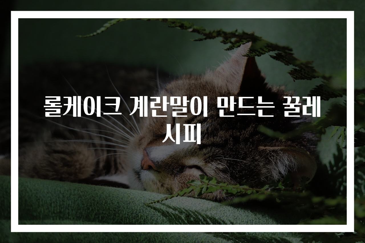 롤케이크 계란말이 만드는 꿀레시피