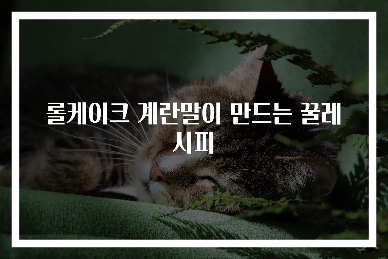 롤케이크 계란말이 만드는 꿀레시피