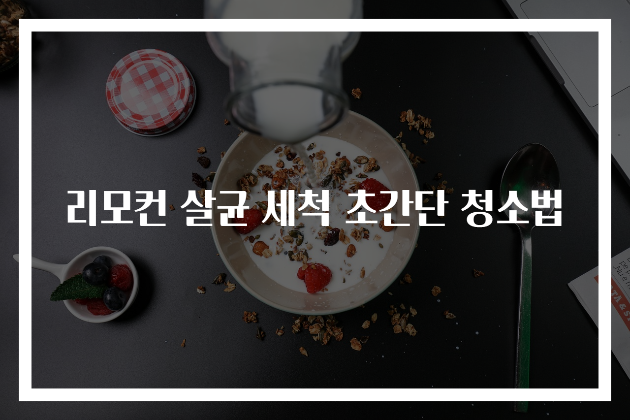 리모컨 살균 세척 초간단 청소법
