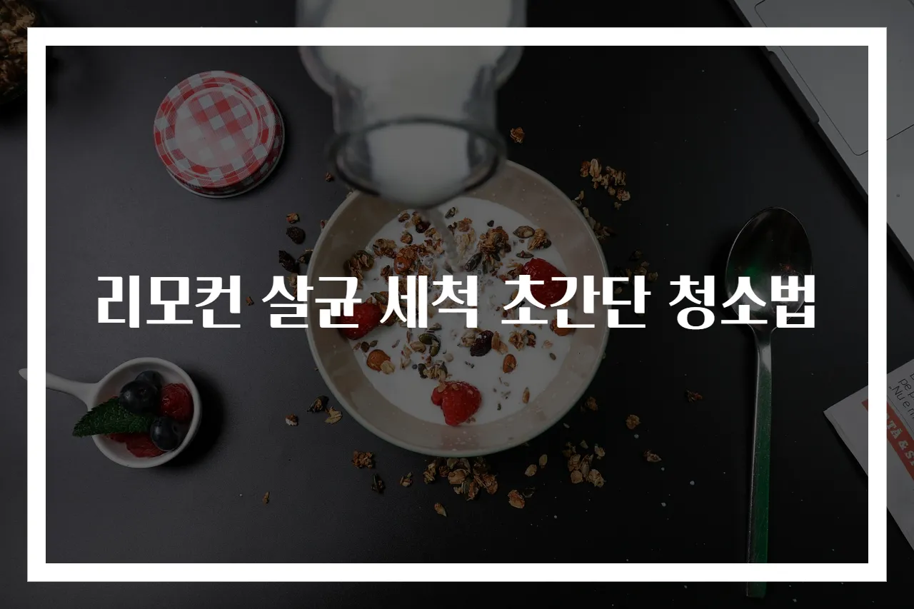 리모컨 살균 세척 초간단 청소법