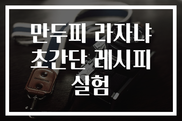 만두피 라자냐 초간단 레시피 실험