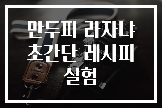 만두피 라자냐 초간단 레시피 실험
