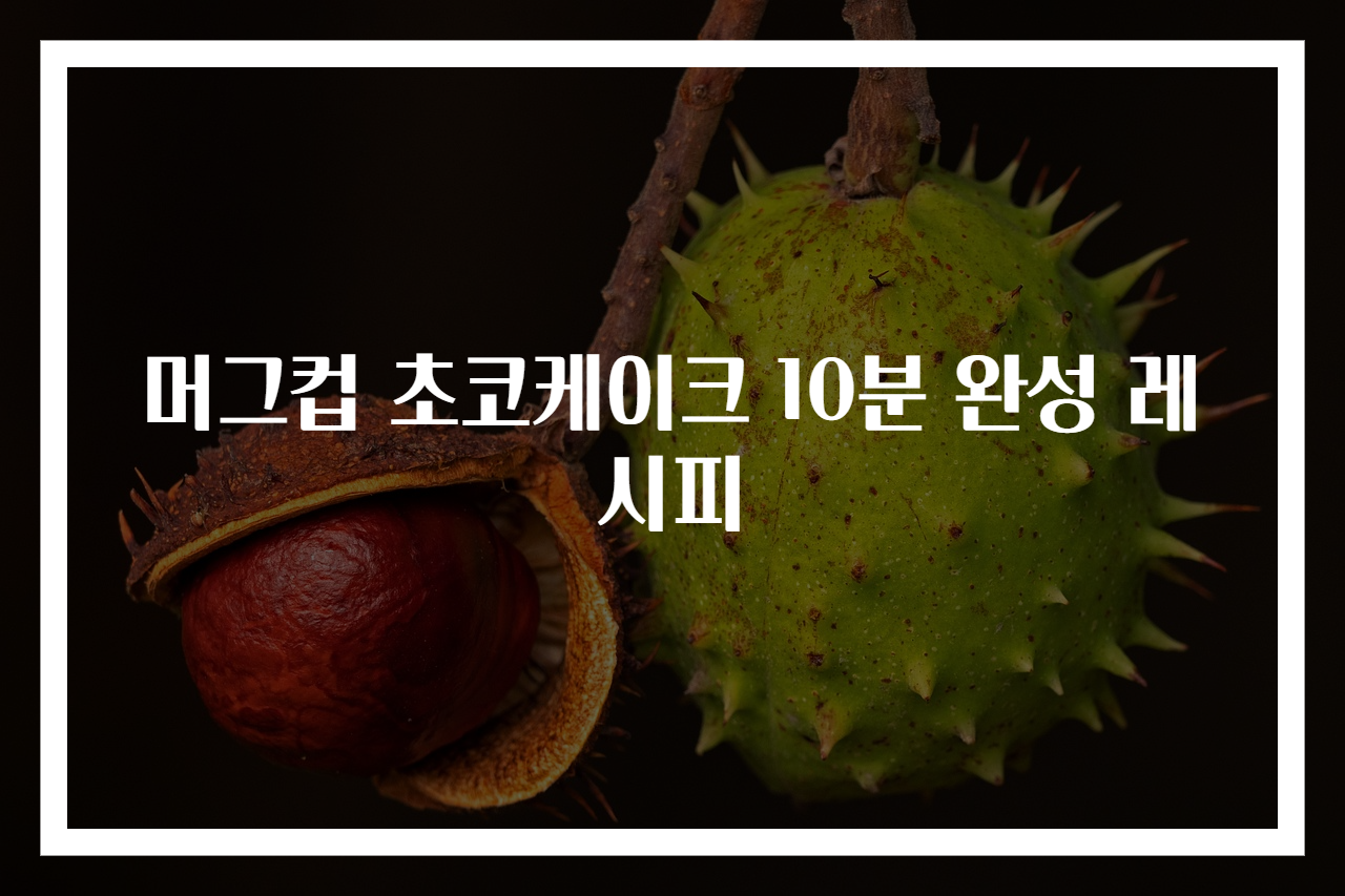 머그컵 초코케이크 10분 완성 레시피