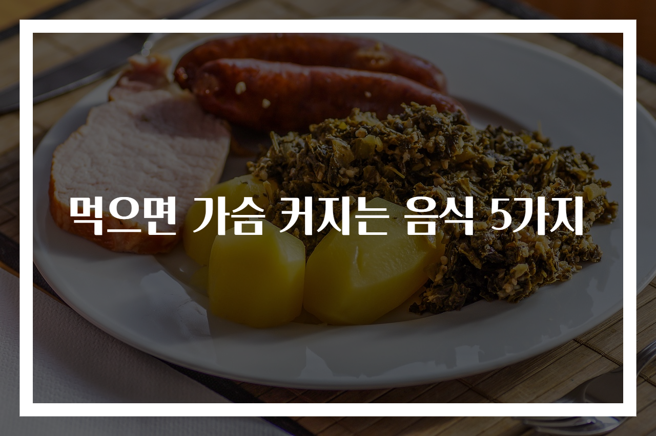 먹으면 가슴 커지는 음식 5가지