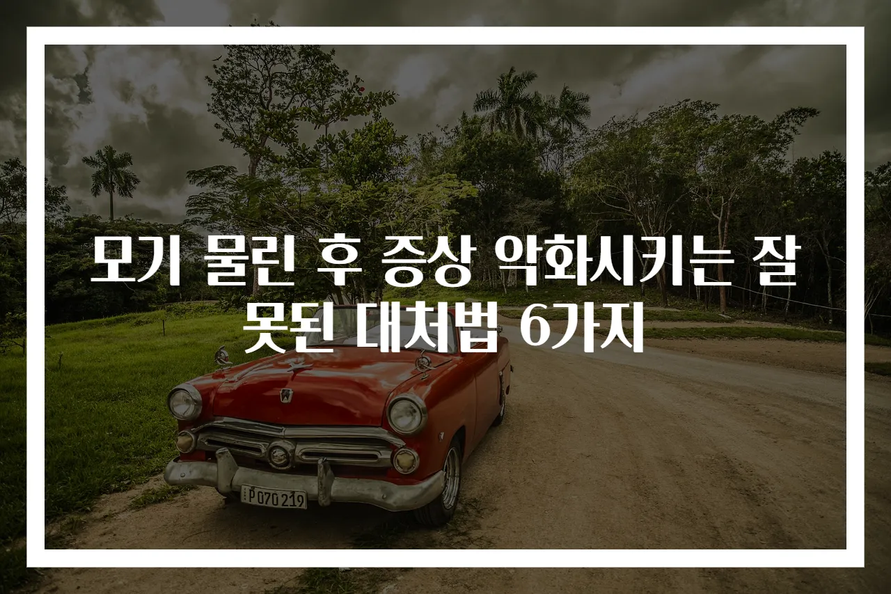 모기 물린 후 증상 악화시키는 잘못된 대처법 6가지