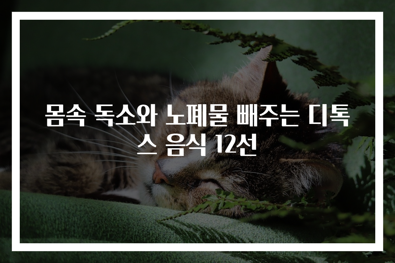 몸속 독소와 노폐물 빼주는 디톡스 음식 12선