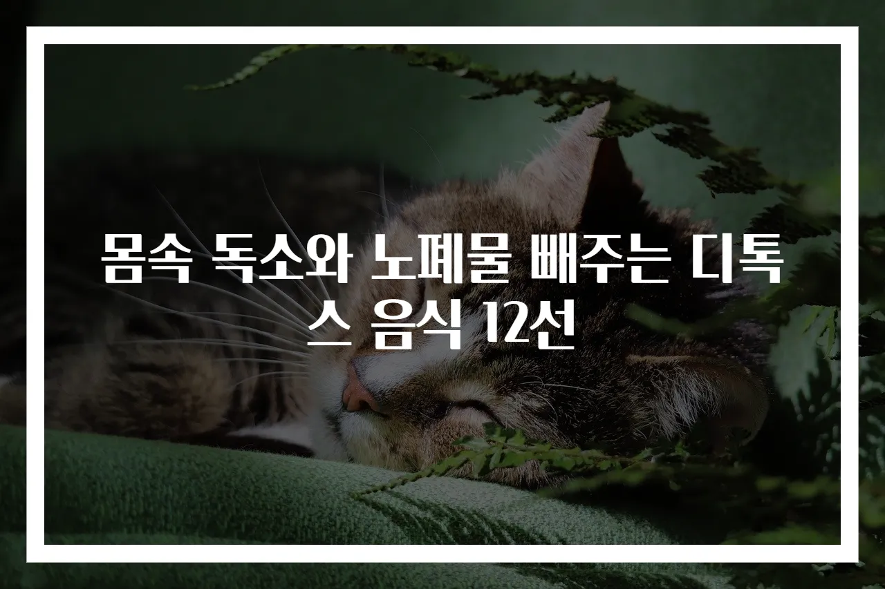 몸속 독소와 노폐물 빼주는 디톡스 음식 12선