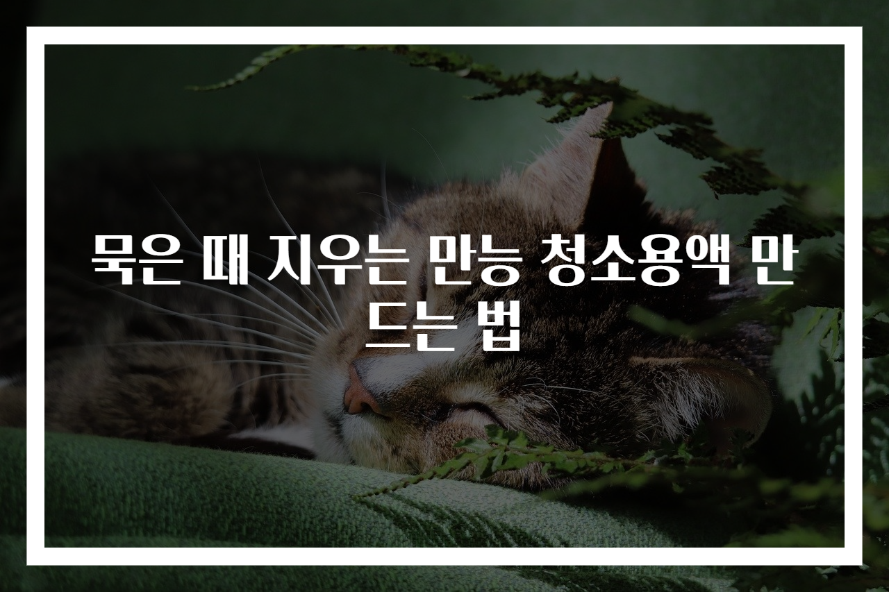 묵은 때 지우는 만능 청소용액 만드는 법