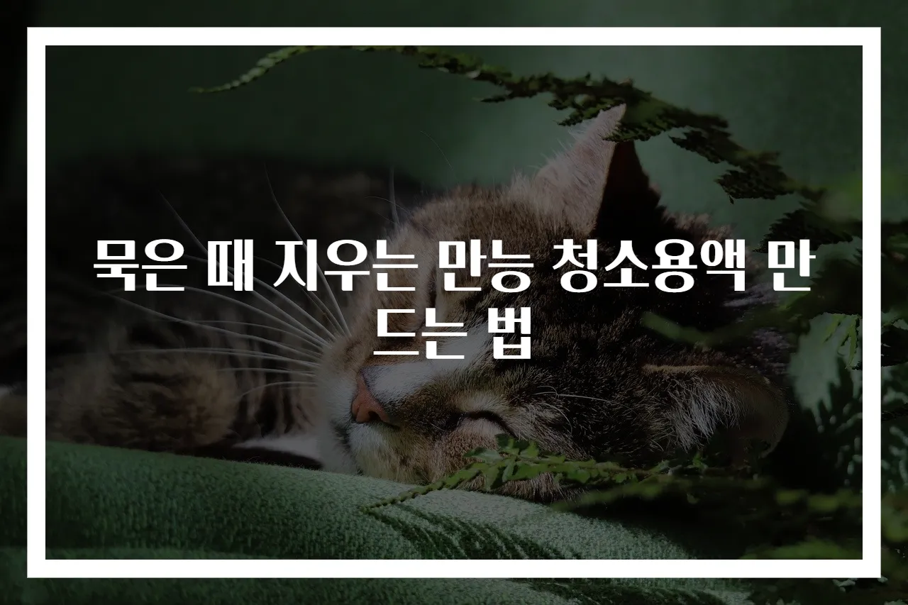 묵은 때 지우는 만능 청소용액 만드는 법