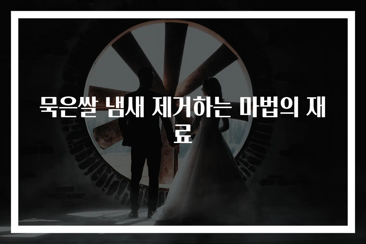 묵은쌀 냄새 제거하는 마법의 재료
