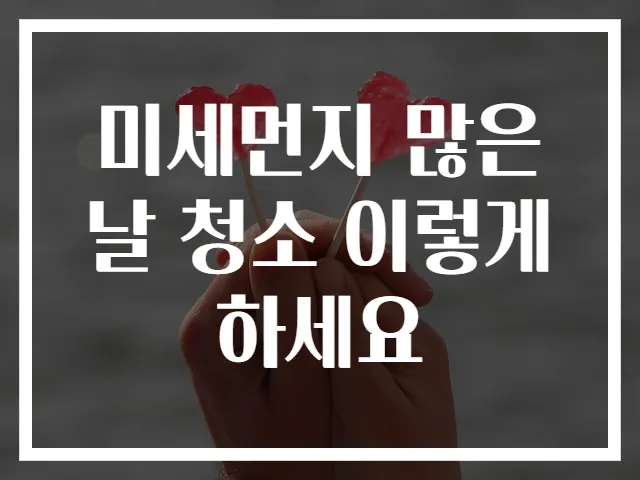미세먼지 많은 날 청소 이렇게 하세요