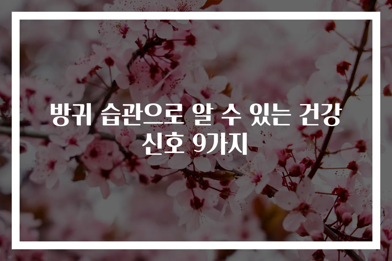 방귀 습관으로 알 수 있는 건강 신호 9가지