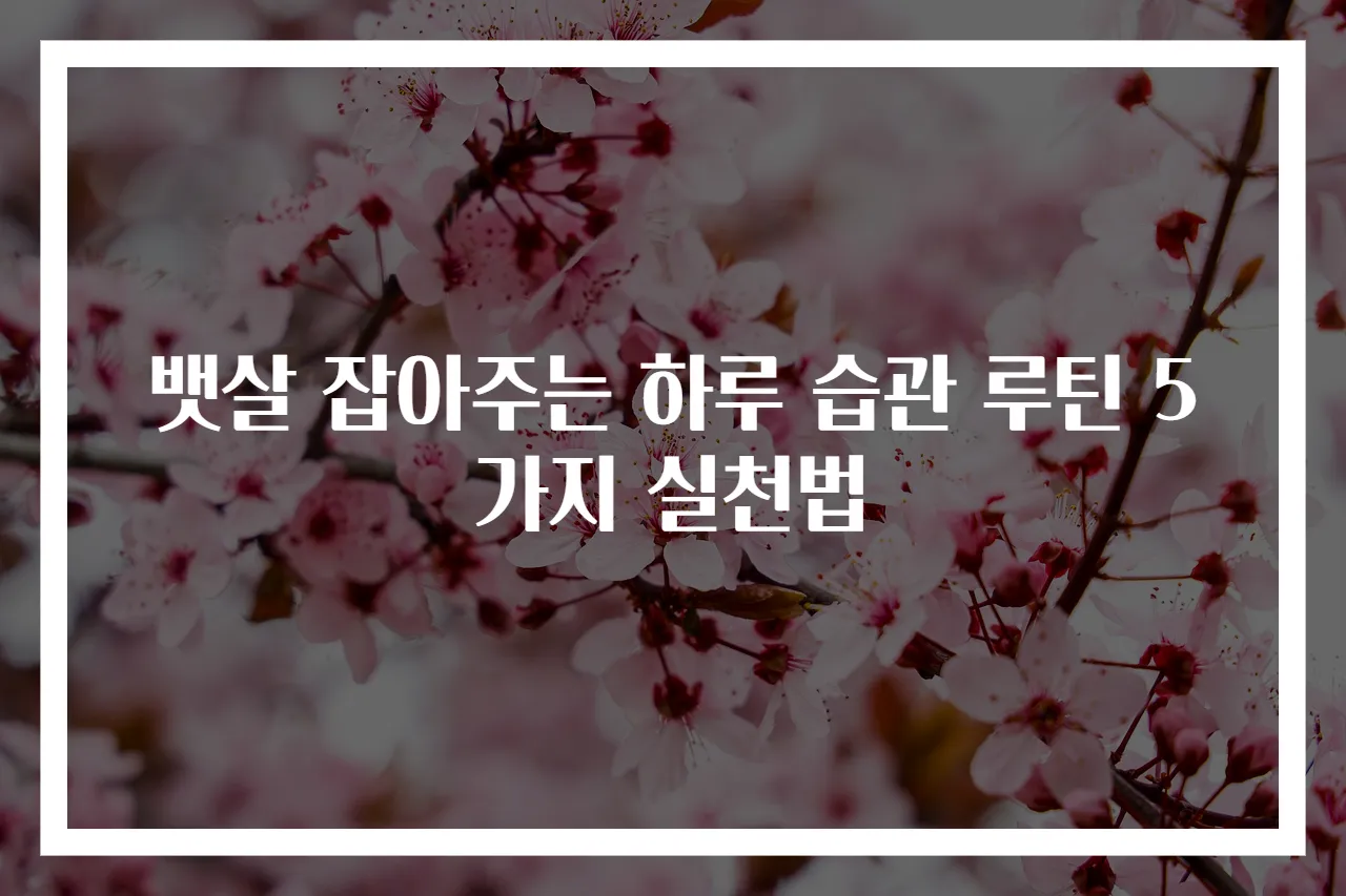 뱃살 잡아주는 하루 습관 루틴 5가지 실천법