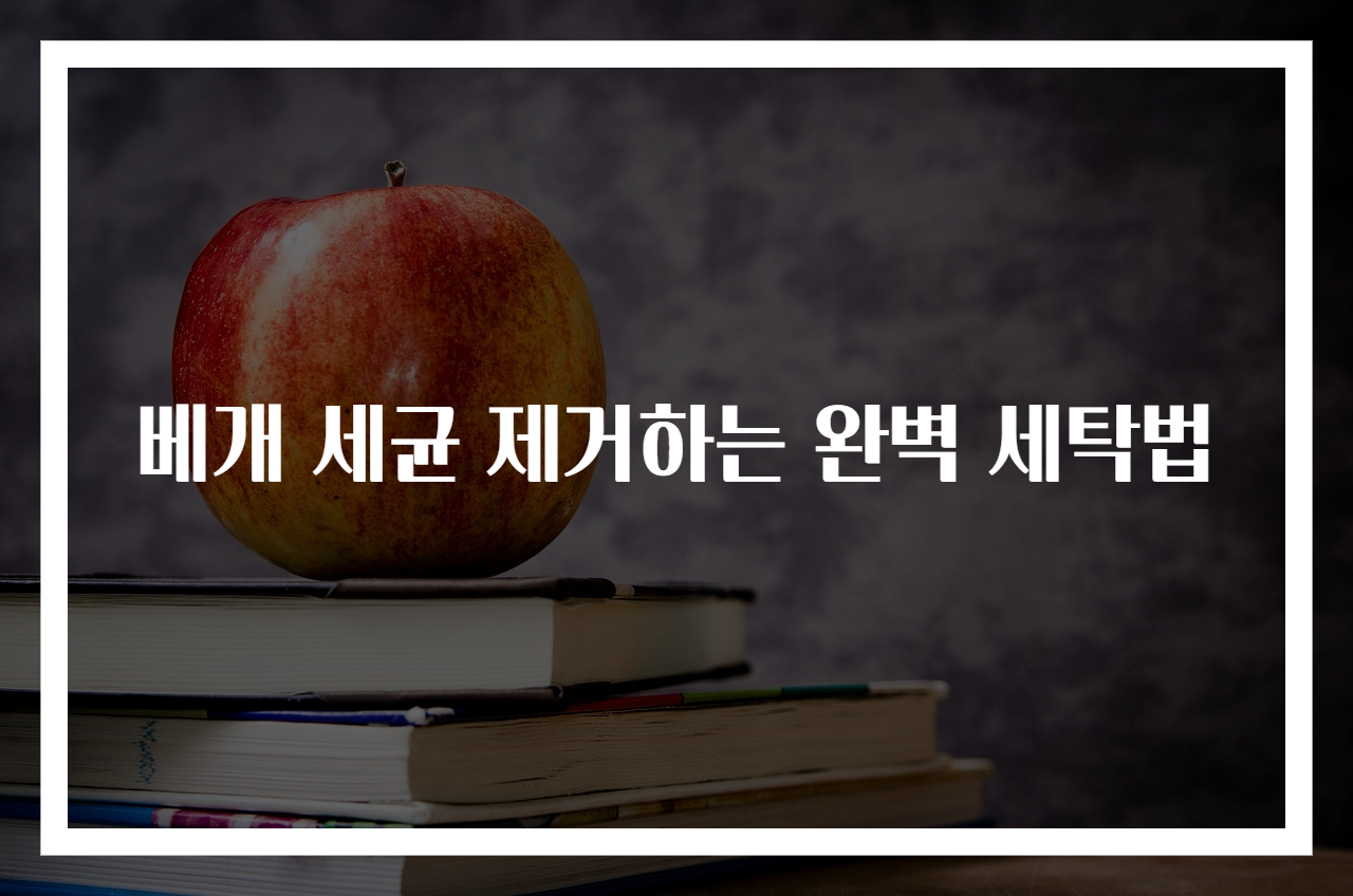 베개 세균 제거하는 완벽 세탁법