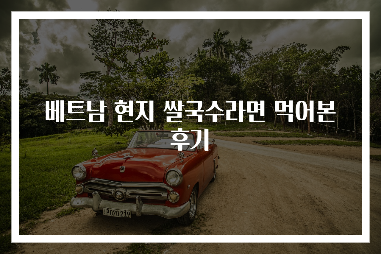 베트남 현지 쌀국수라면 먹어본 후기