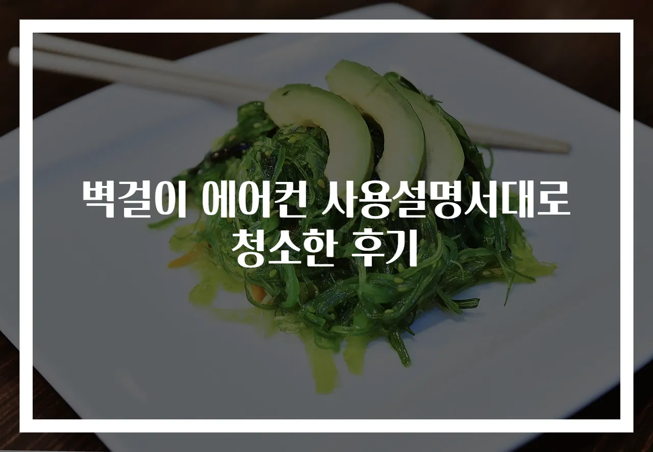 벽걸이 에어컨 사용설명서대로 청소한 후기
