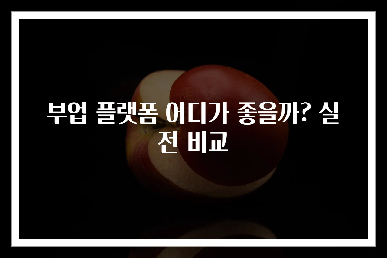 부업 플랫폼 어디가 좋을까? 실전 비교