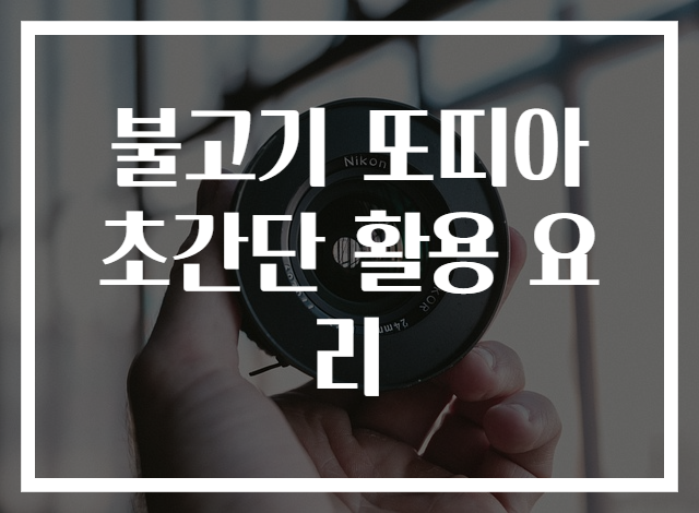 불고기 또띠아 초간단 활용 요리