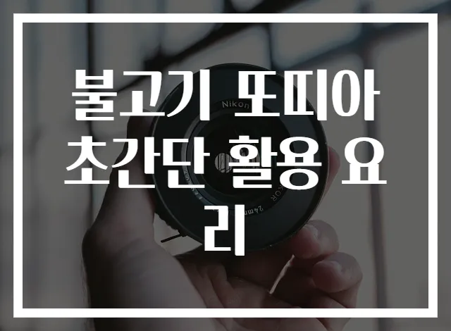 불고기 또띠아 초간단 활용 요리