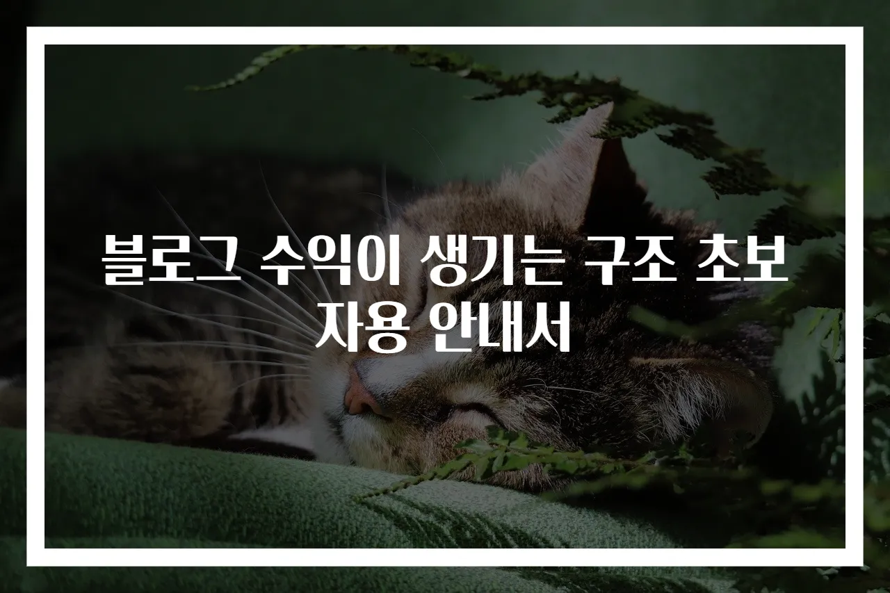 블로그 수익이 생기는 구조 초보자용 안내서