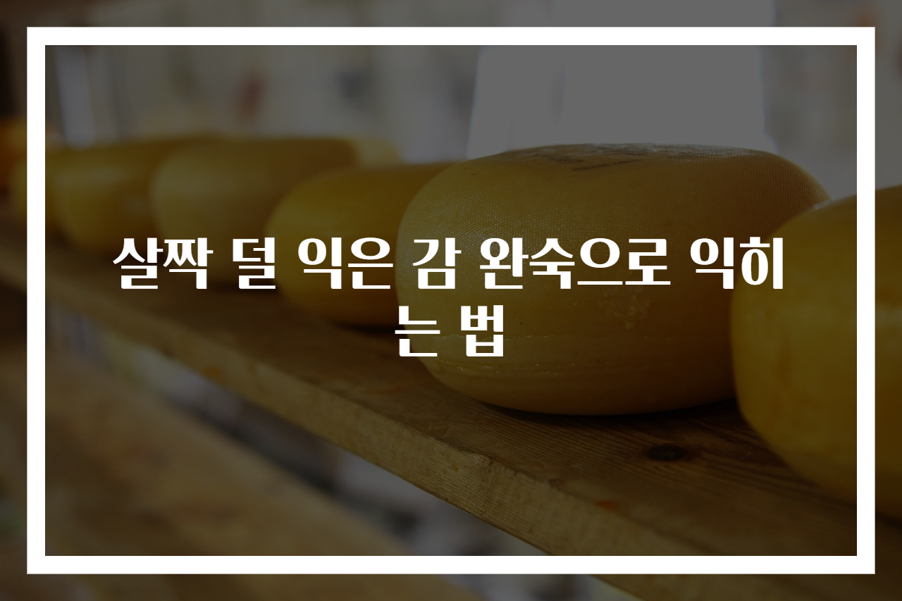 살짝 덜 익은 감 완숙으로 익히는 법
