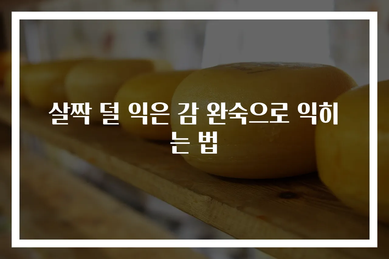 살짝 덜 익은 감 완숙으로 익히는 법