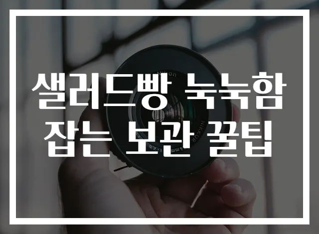 샐러드빵 눅눅함 잡는 보관 꿀팁