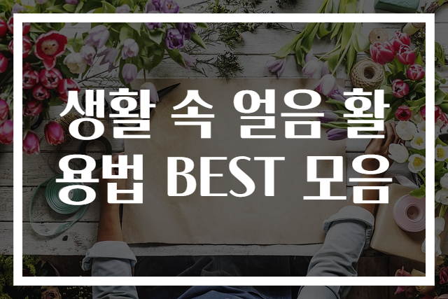 생활 속 얼음 활용법 BEST 모음