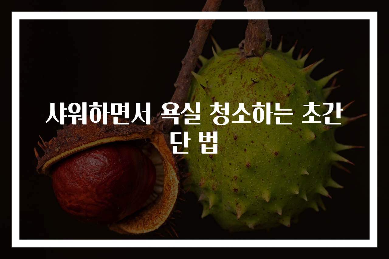 샤워하면서 욕실 청소하는 초간단 법
