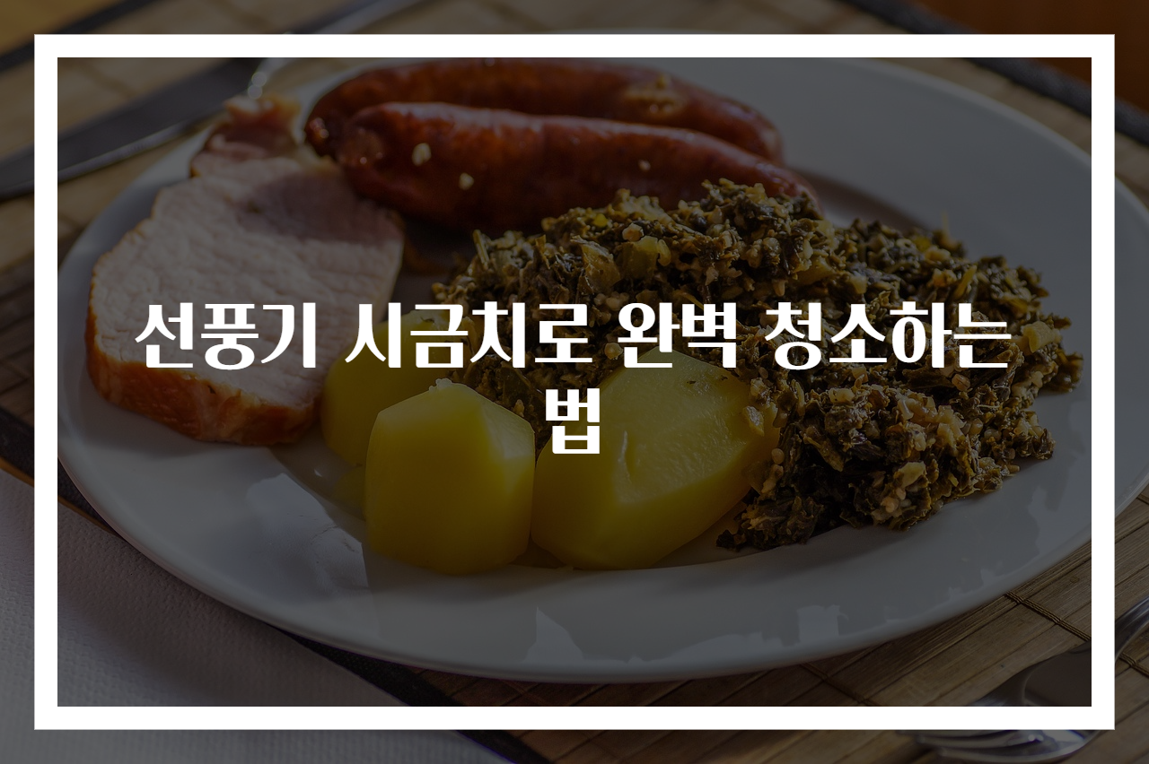 선풍기 시금치로 완벽 청소하는 법