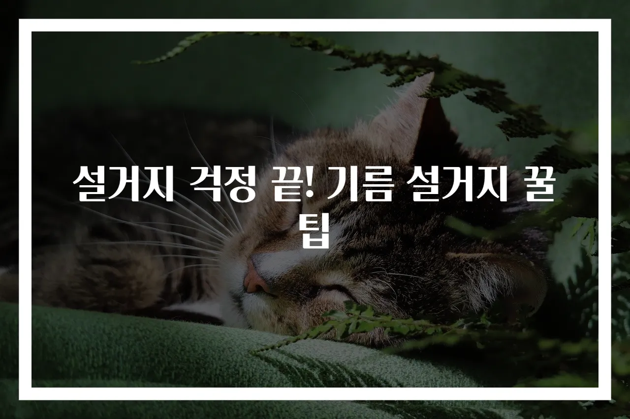 설거지 걱정 끝! 기름 설거지 꿀팁