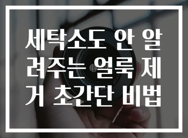 세탁소도 안 알려주는 얼룩 제거 초간단 비법