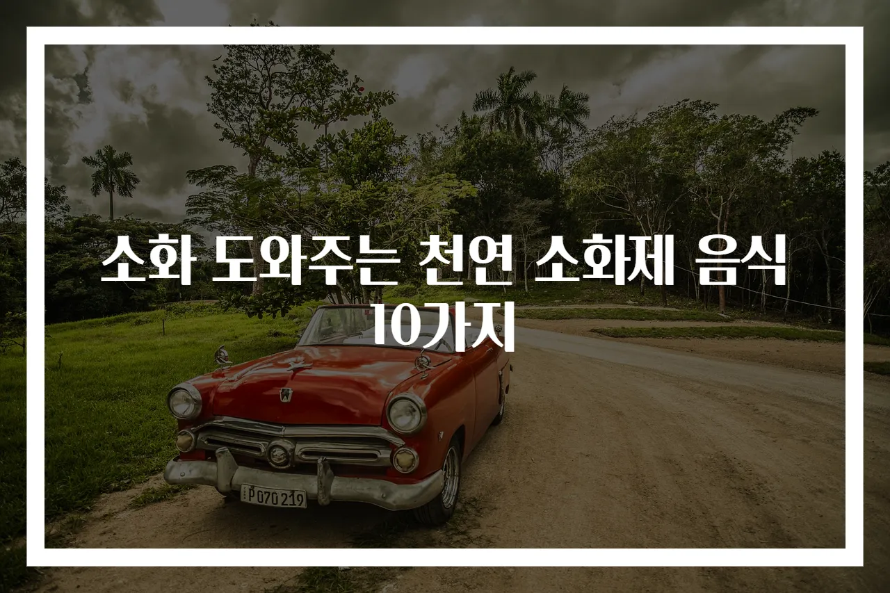 소화 도와주는 천연 소화제 음식 10가지