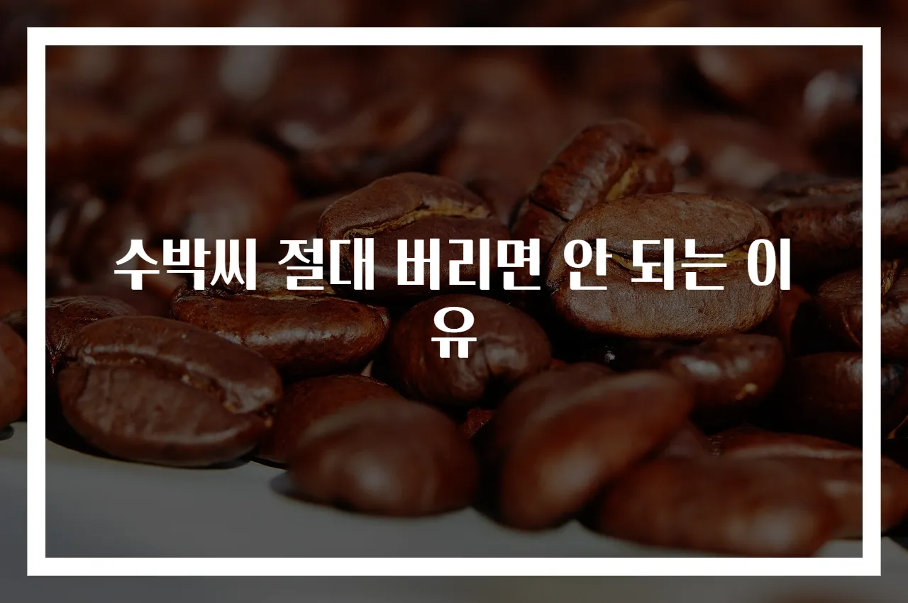 수박씨 절대 버리면 안 되는 이유