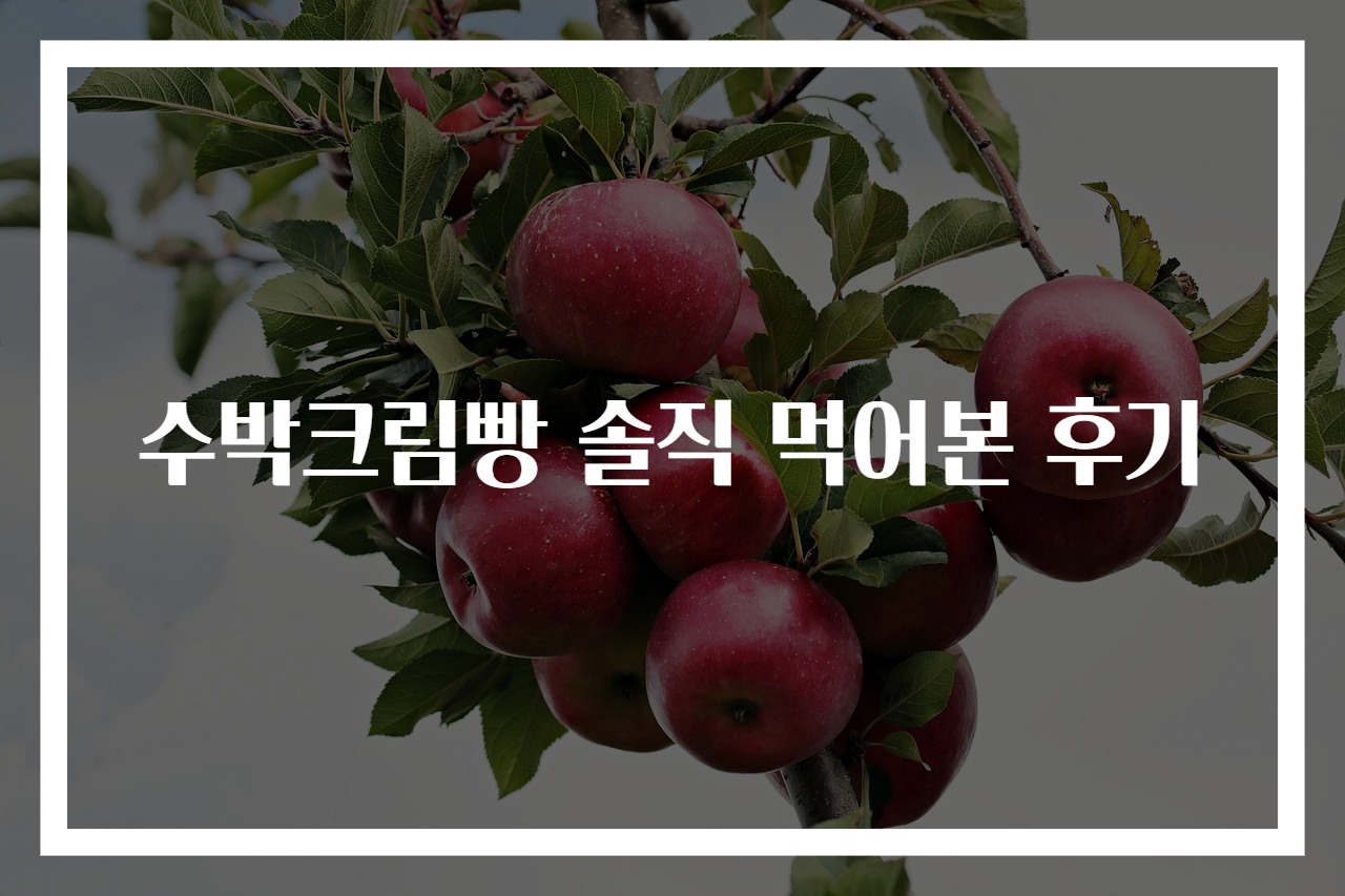 수박크림빵 솔직 먹어본 후기