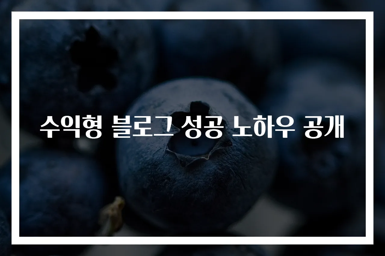 수익형 블로그 성공 노하우 공개