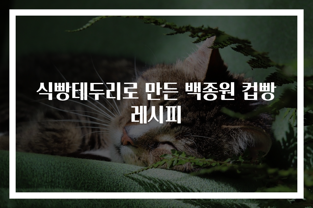 식빵테두리로 만든 백종원 컵빵 레시피