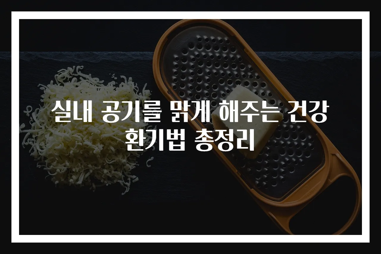 실내 공기를 맑게 해주는 건강 환기법 총정리