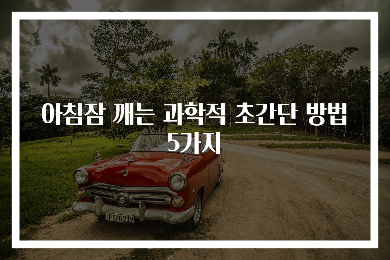 아침잠 깨는 과학적 초간단 방법 5가지