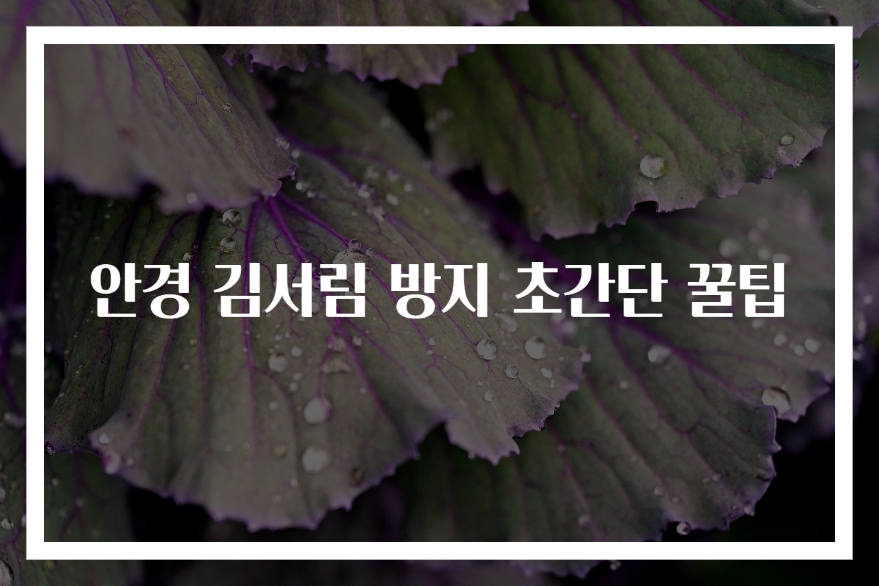 안경 김서림 방지 초간단 꿀팁