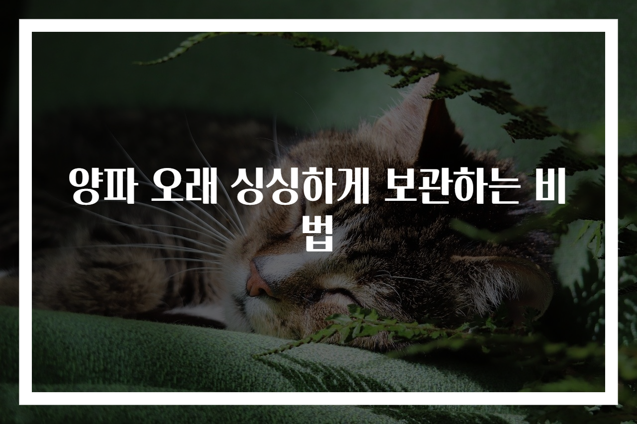 양파 오래 싱싱하게 보관하는 비법